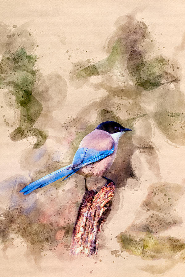 Iberian Magpie Portrait Watercolor Digital Art by Luis G Amor - Lugamor