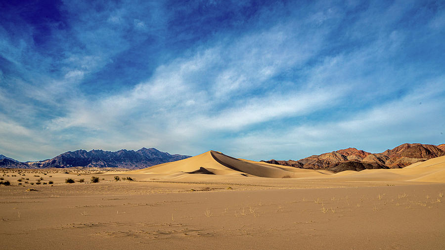 Ibex Dunes - Death Valley   Photograph by Peter Tellone
