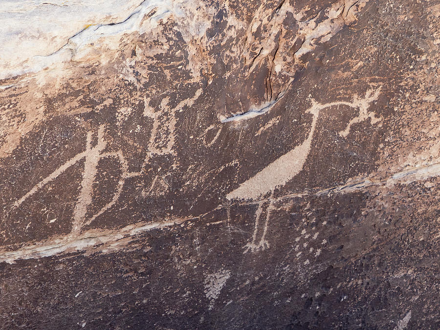Ibis and Frog Petroglyph Photograph by James Marvin Phelps
