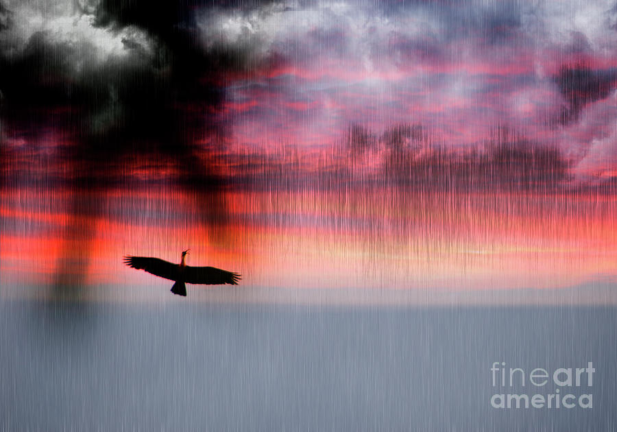 Ibis Flight In The Rain Photograph by Al Bourassa