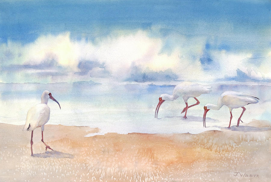 Ibis on the Beach Painting by Joan Wolbier