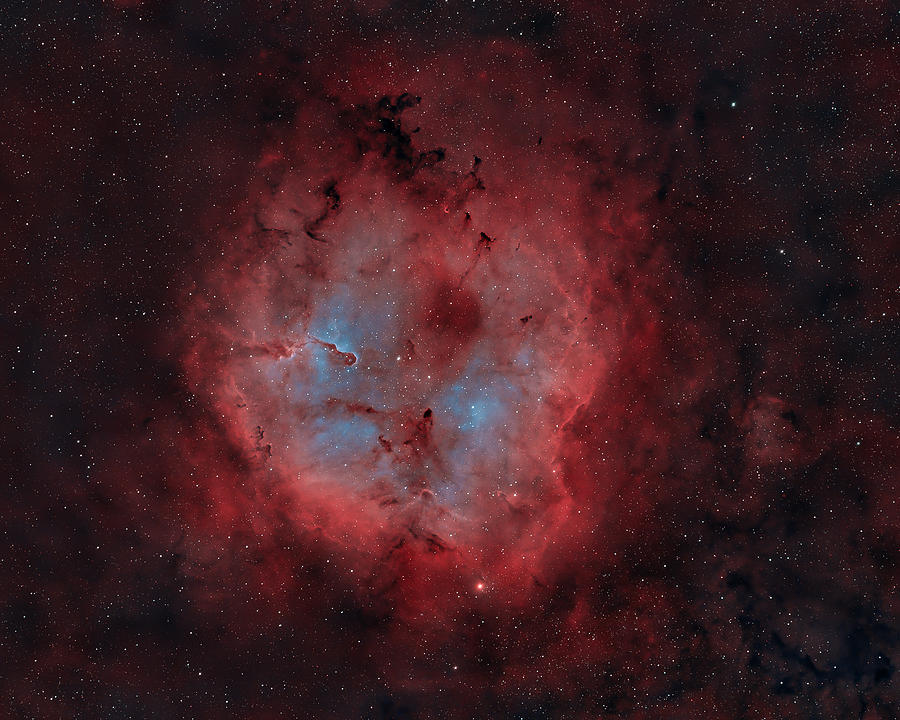 Ic 1396 Photograph by Timothy McIntyre