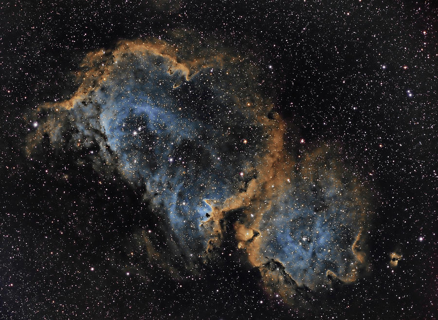 IC 1840 The Soul Nebula Photograph by Alan Vance Ley