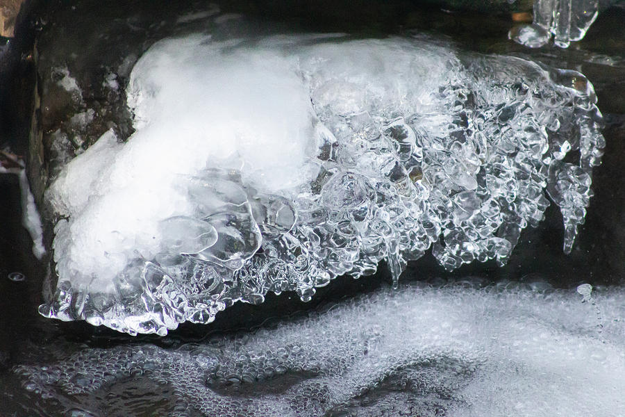 Ice Abstract in Brooklyn, NY Photograph by Auden Johnson