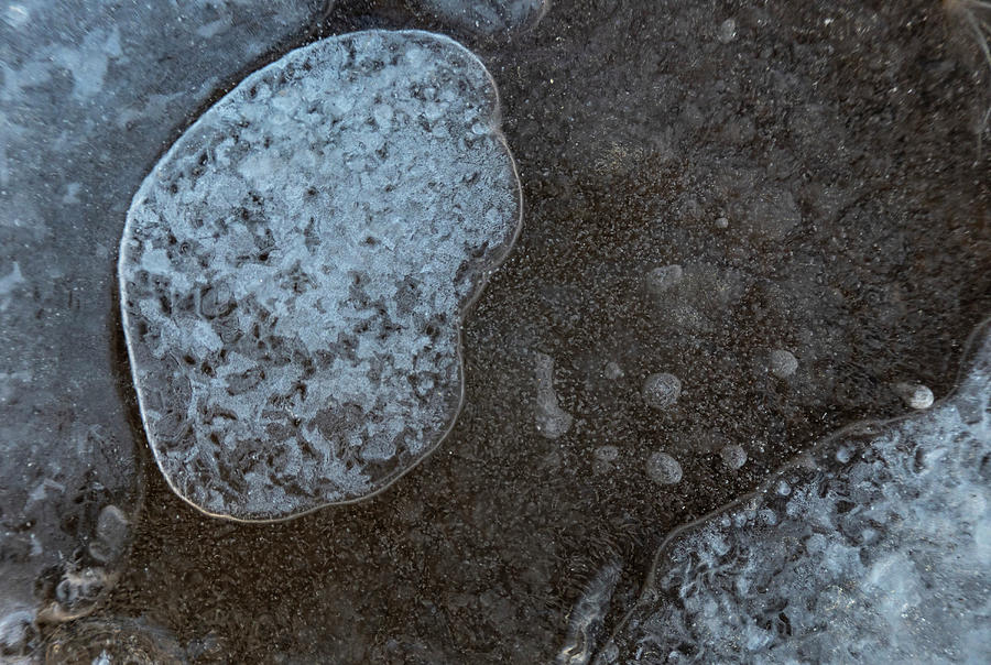 Ice Abstract With Bubbles Photograph by Karen Rispin