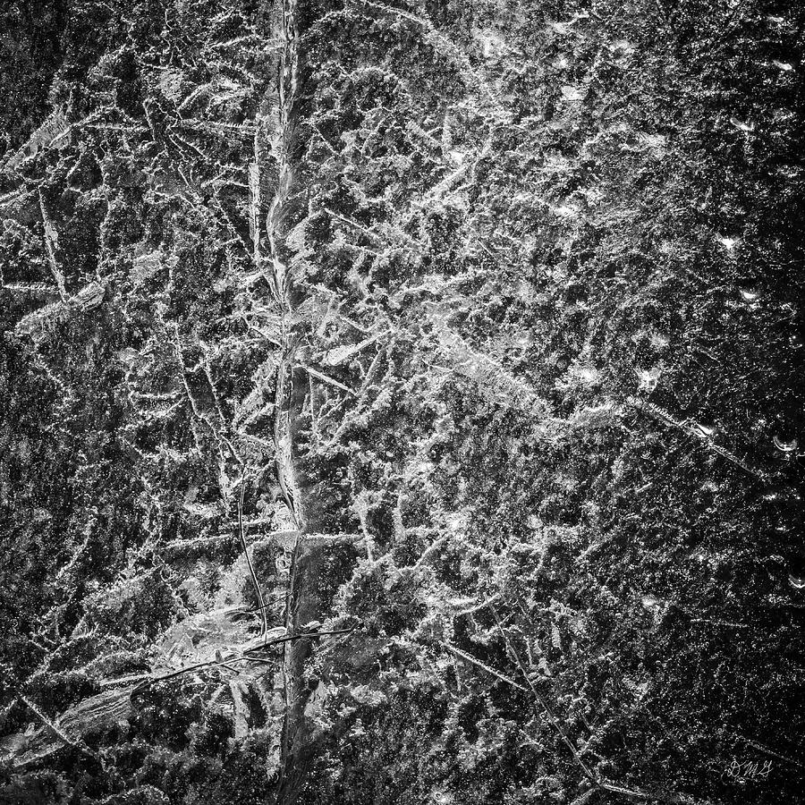 Ice Abstraction V BW Photograph by David Gordon