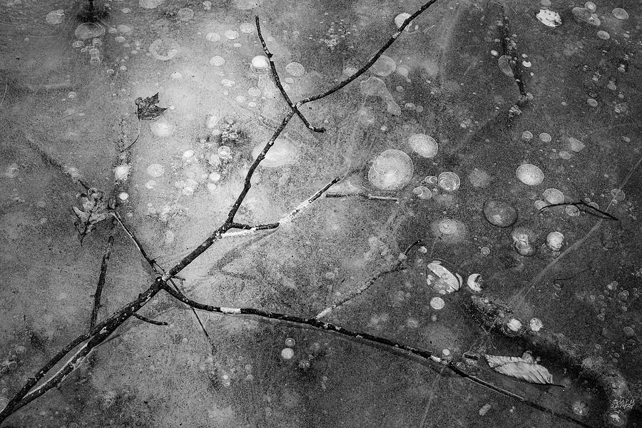 Ice Abstraction VI BW Photograph by David Gordon