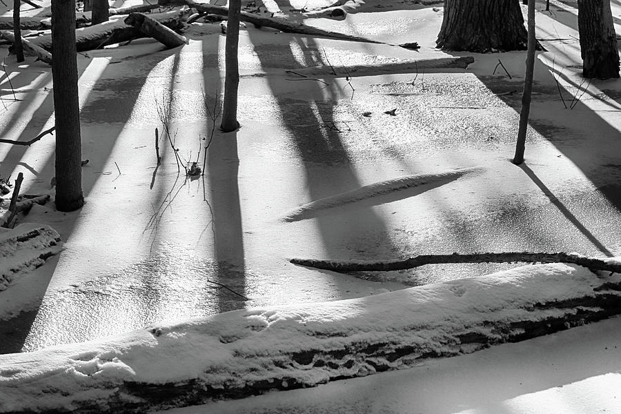 Ice and Shadows BW 011424 Photograph by Mary Bedy