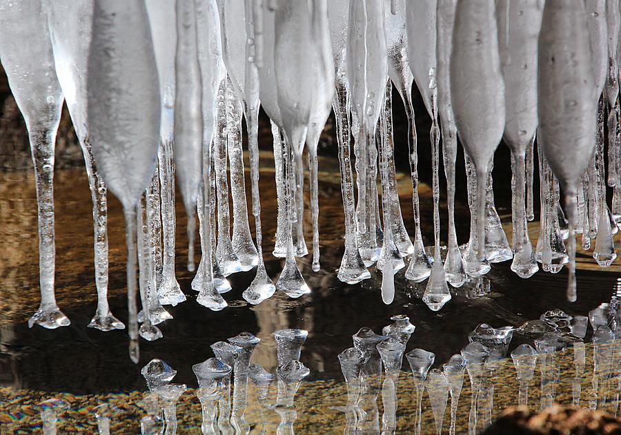 Winter Photograph - Ice Art by Sean Sarsfield