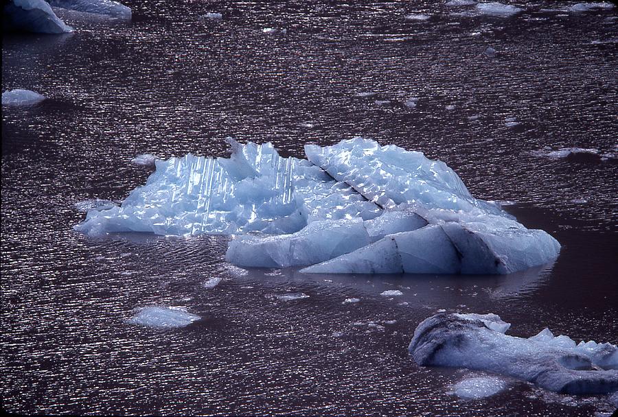 Ice Caves Bear In Bear Lake Ice Photograph By Lawrence Christopher   Ice Caves Bear In Bear Lake Ice Lawrence Christopher 