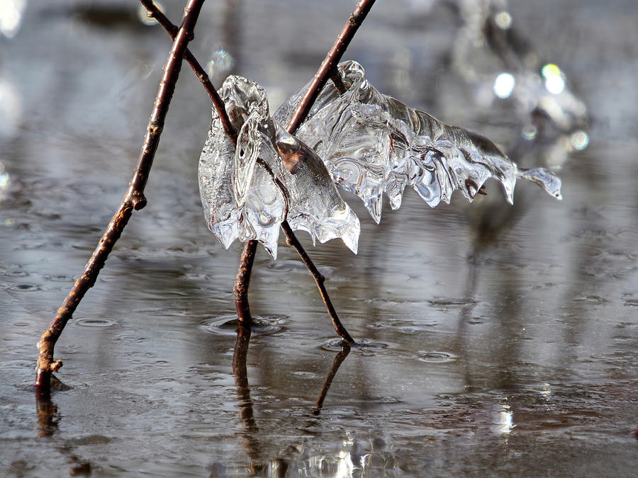 Ice chrystals Photograph by Jouko Lehto