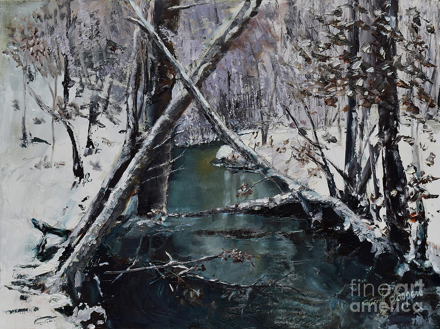 Ice Cold Creek - Ellijay - N GA Mtns Painting by Jan Dappen
