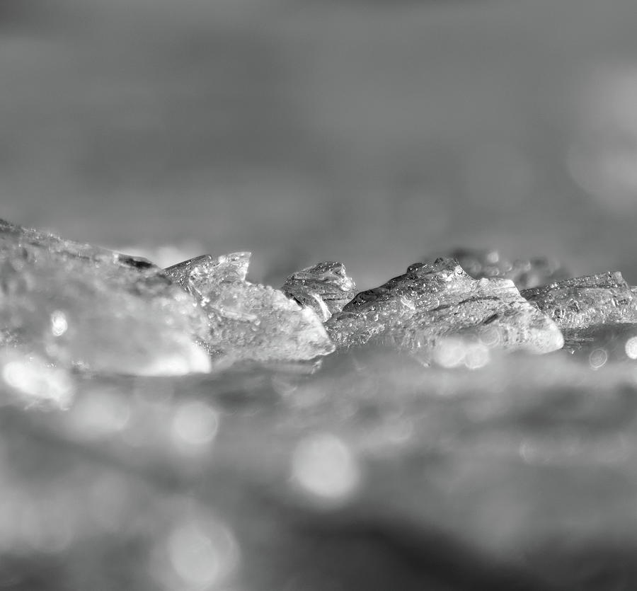 Ice cover in bw Photograph by Jouko Lehto