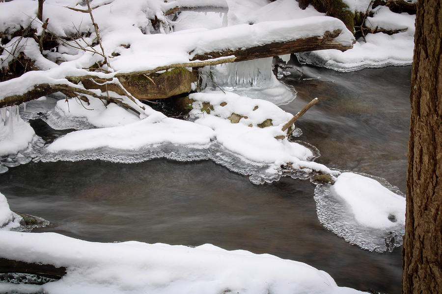 Winter Photograph - Ice Covered Everything by David Kipp