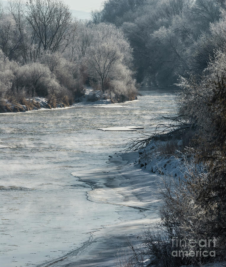 Winter Photograph - Ice-covered Trees Along Meandering Canal by John Arnaldi
