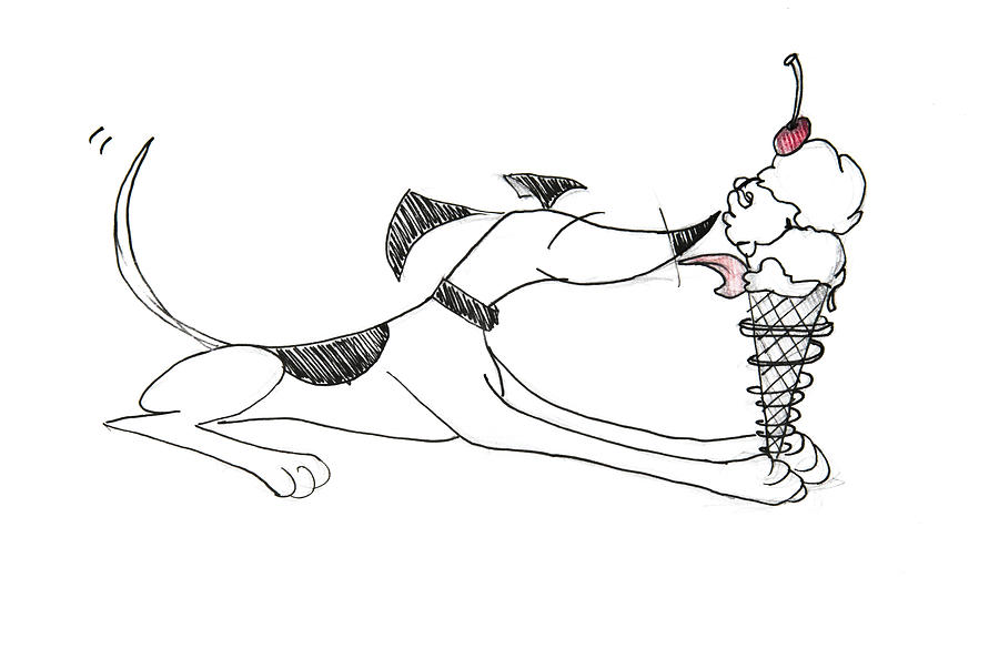 Ice Cream Treat Drawing by Jani Freimann