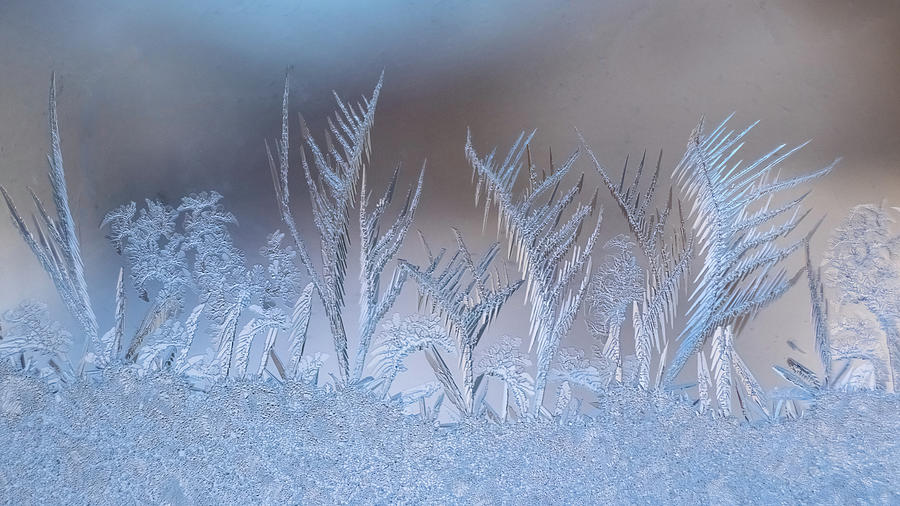 Ice Crystals 10 Photograph by Ira Marcus