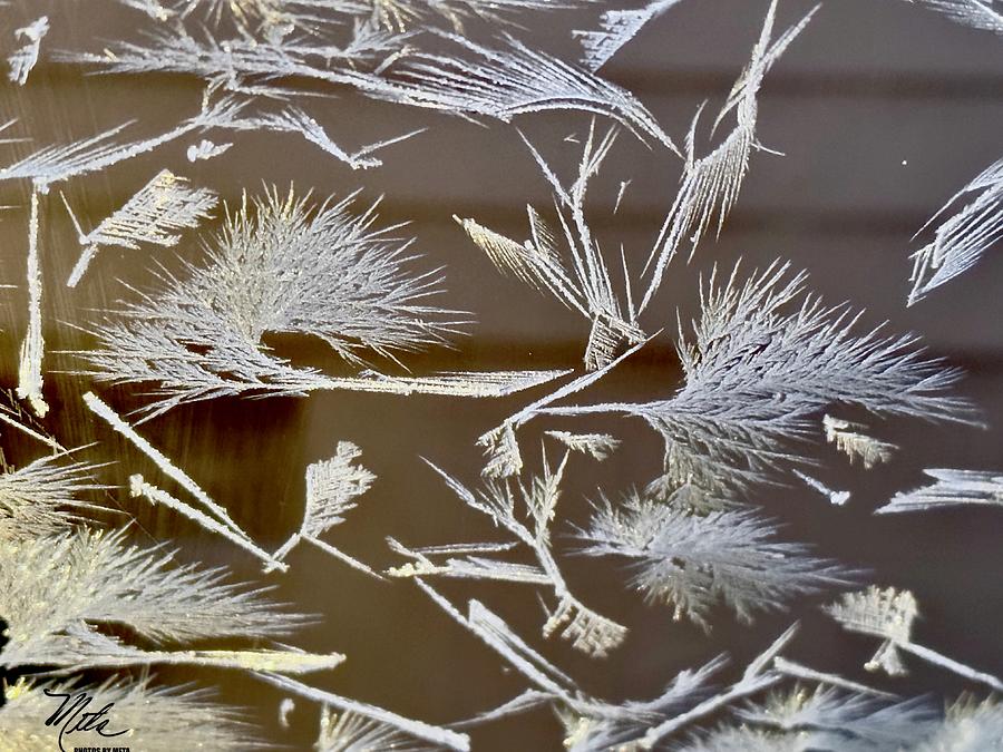 Ice crystals Photograph by Meta Gatschenberger