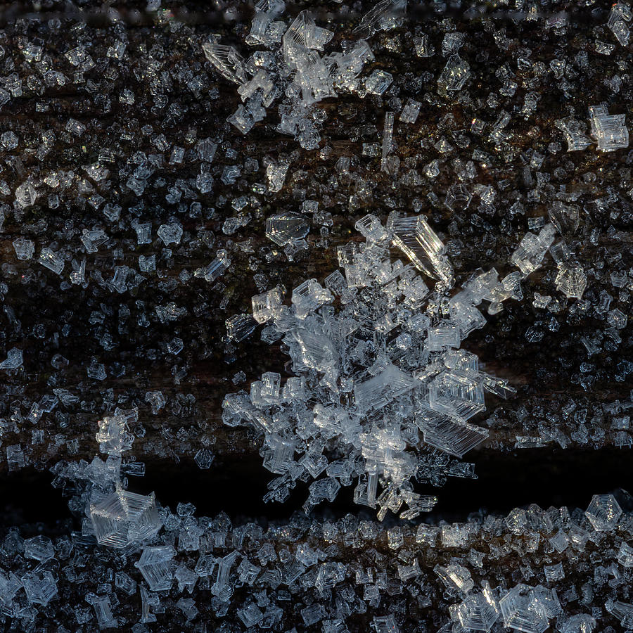 Ice crystals square Photograph by Steev Stamford