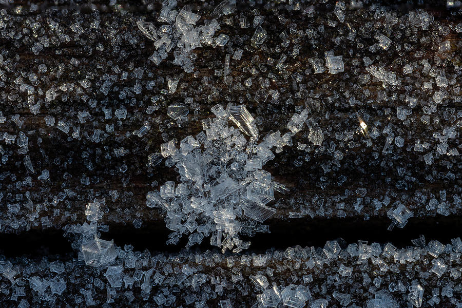Ice crystals Photograph by Steev Stamford