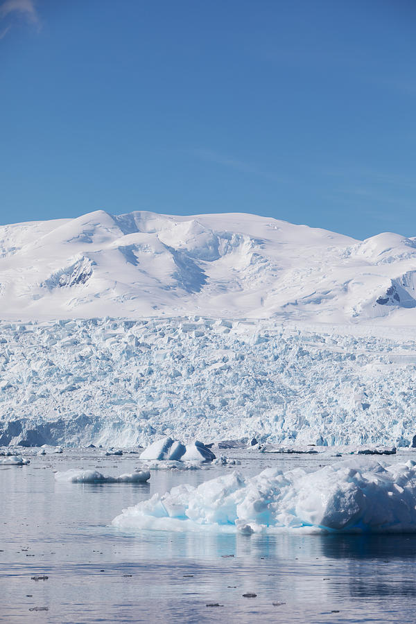 Ice Fields- Antarctica Photograph by Payton Strumillo - Fine Art America