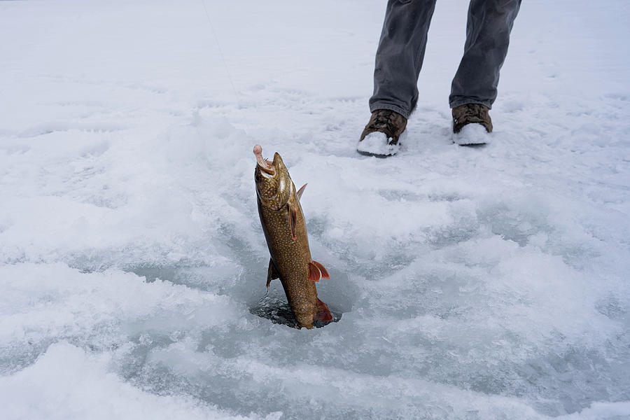 Ice Fishing  Photograph by Julieta Belmont
