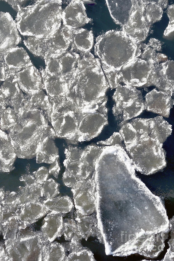 Ice Flow On The North Saskatchewan River Edmonton Ab 2 Photograph by Terry Elniski
