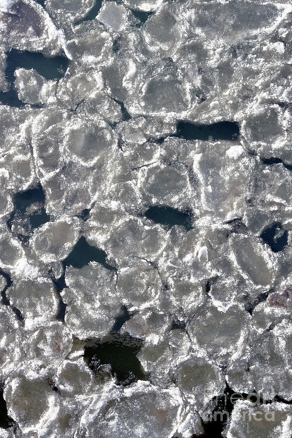 Ice Flow On The North Saskatchewan River Edmonton Ab 3 Photograph by Terry Elniski