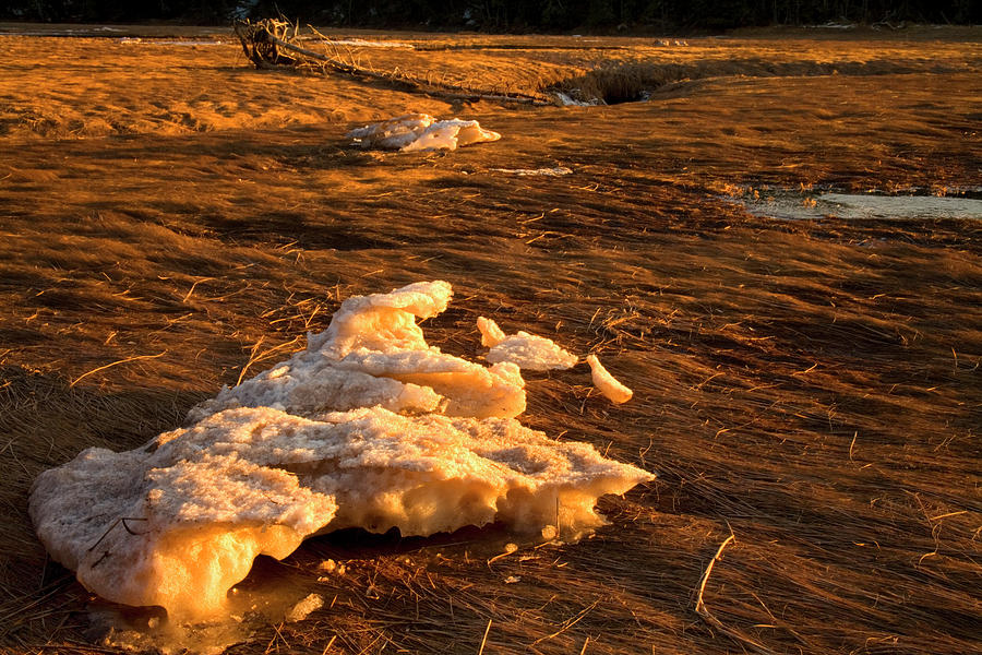 Ice flows and driftwood on Sand River tidal flats at sunset Photograph by Irwin Barrett
