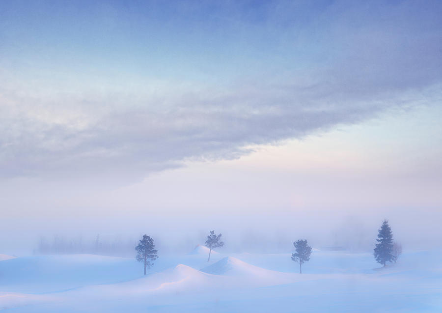 Ice Fog  Photograph by Dan Jurak