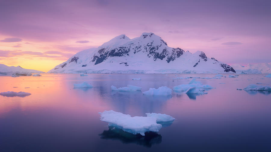 Ice Glacier Floating In The Lagoon With The Snowcapped Mountain Sunset At Antarctica Photograph by SinghaphanAllB
