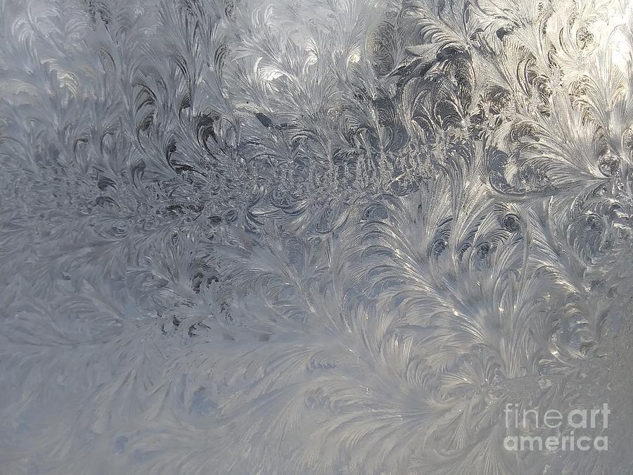 Ice on studio window Photograph by Dee Davis