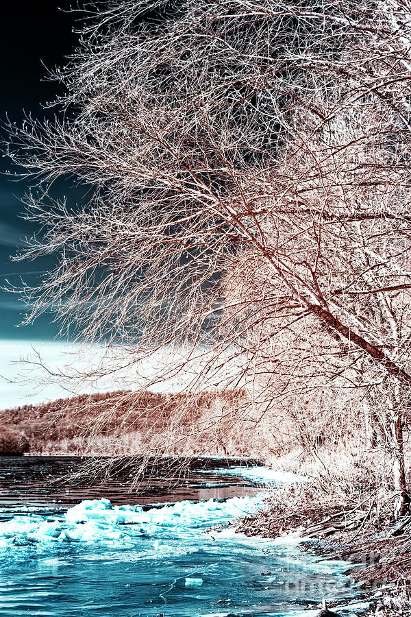 Ice on the Delaware River Infrared at Washington Crossing Photograph by John Rizzuto