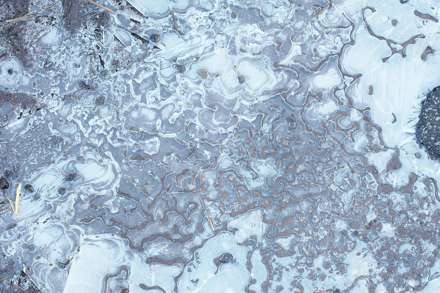 Ice Patterns In Frozen Puddles Photograph