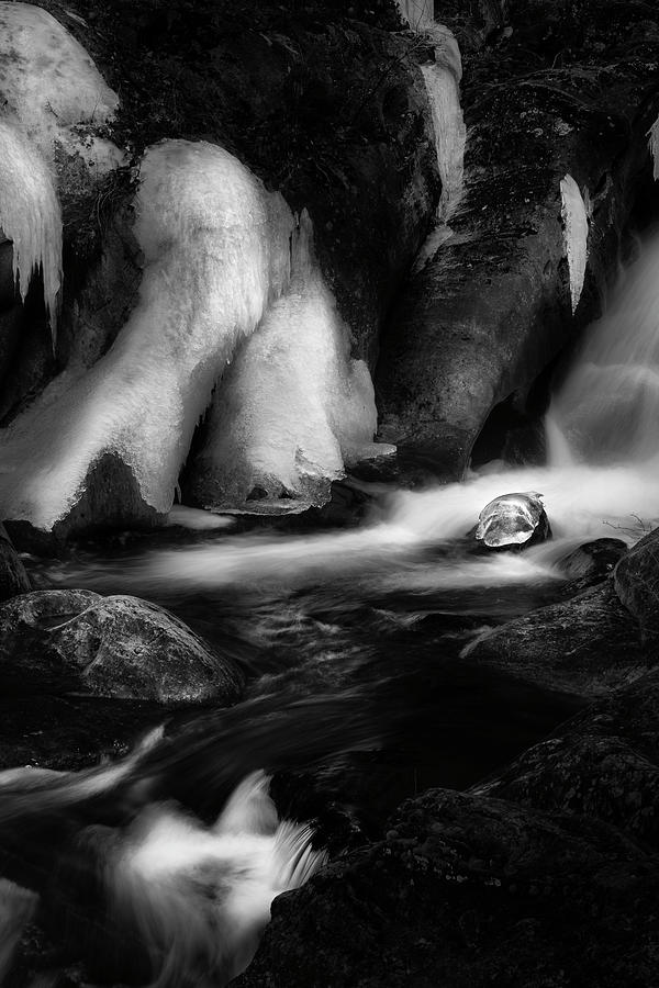 Ice portrait black and white Photograph by Bill Wakeley
