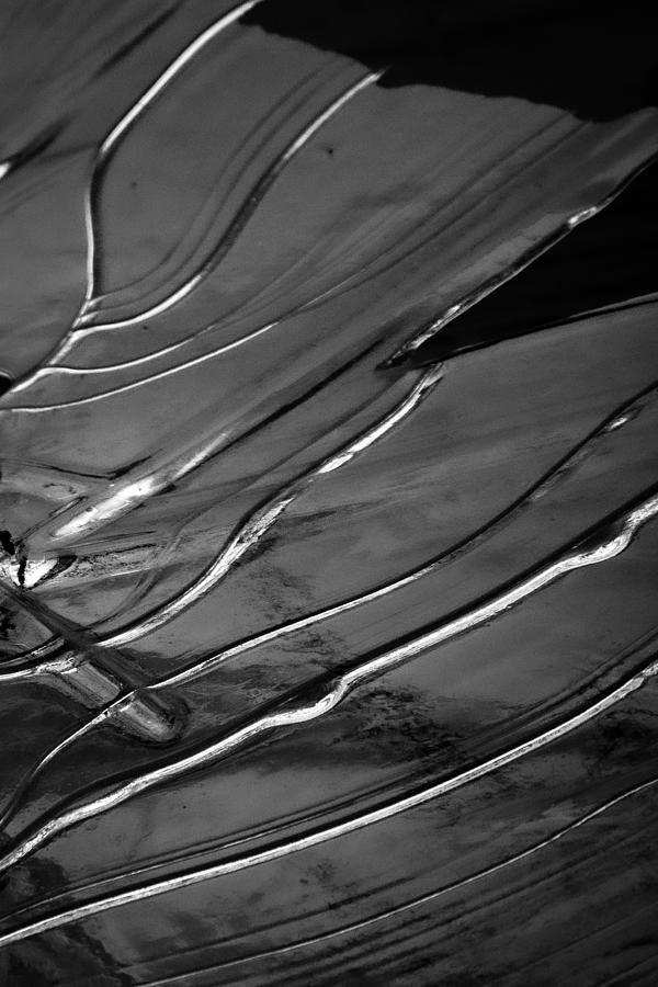 Ice Running Through the Veins Photograph by Linda Bonaccorsi
