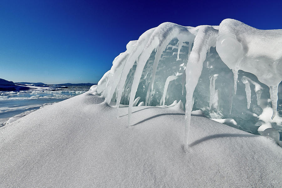 Ice Spider Photograph by Doug Gibbons