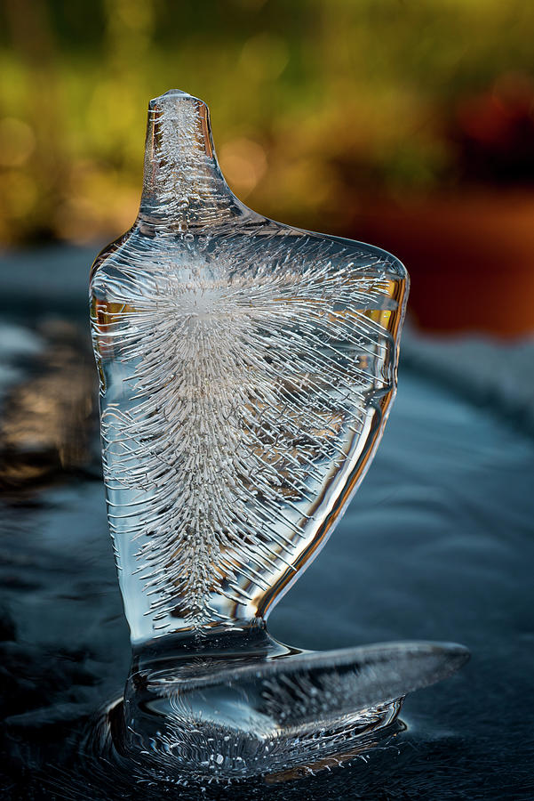 Ice Sprite Photograph by Robert Potts