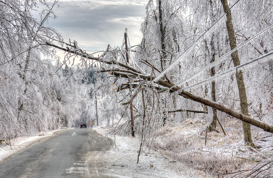 Ice Storm Damage Photograph by DenisTangneyJr