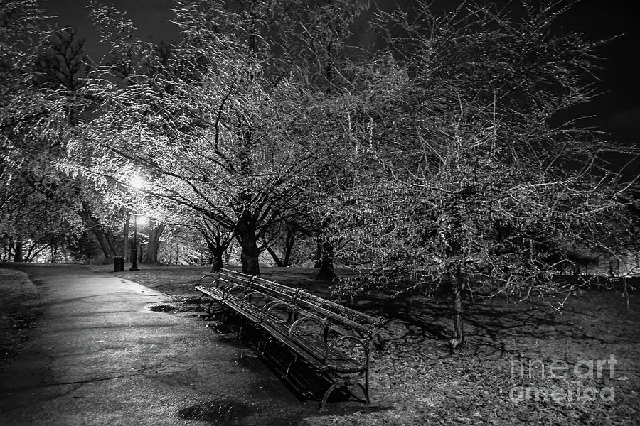 Ice Storm, Isham Park, 2020 Photograph by Cole Thompson