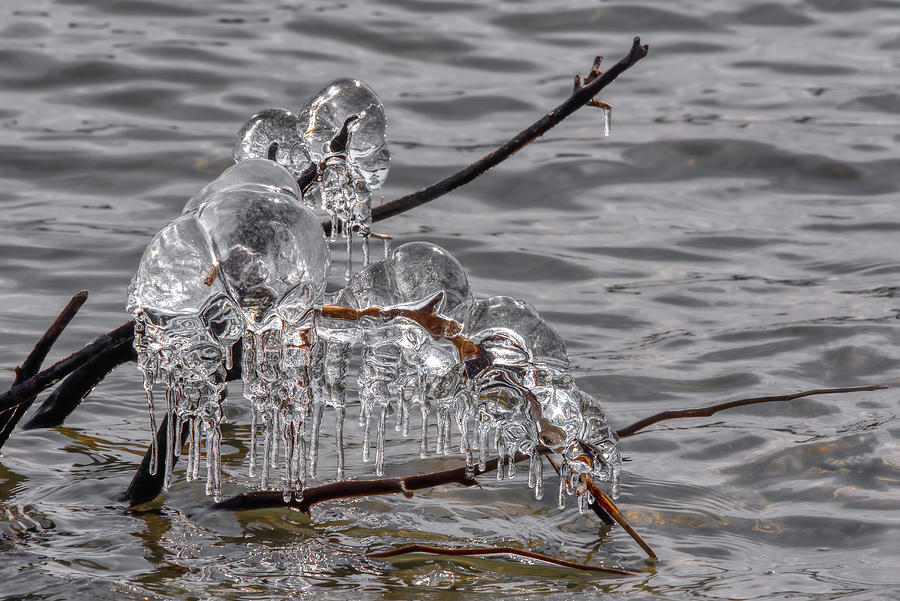Ice Study No 3 Photograph by Irwin Seidman