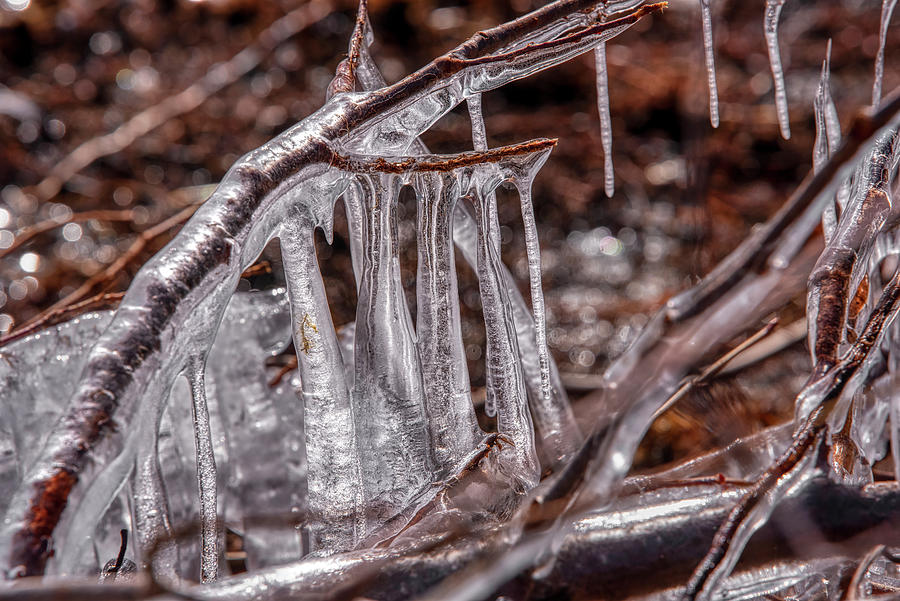 Ice Study No 4 Photograph by Irwin Seidman