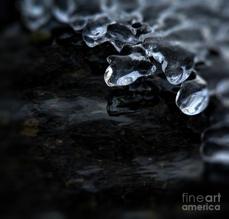 Ice Photograph - Ice Turtle by Roland Stanke Ice Photograph - Ice Turtle by Roland Stanke