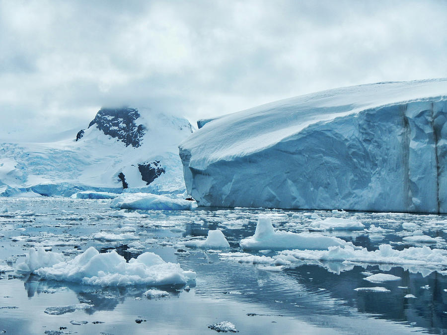 Iceberg Floating in Ocean off Antartica on Foggy Day Photograph by ...