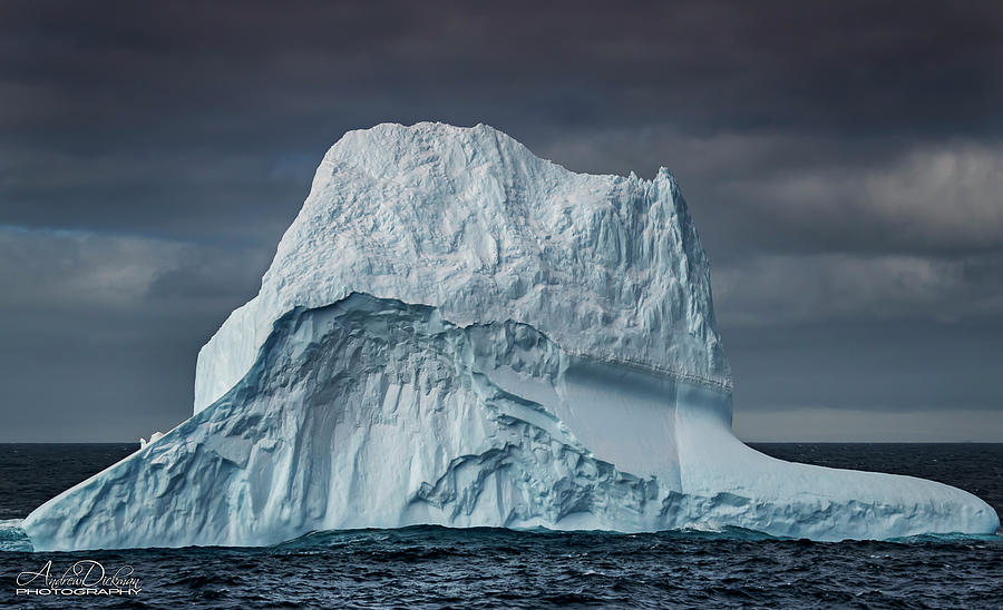 Iceberg I Photograph by Andrew Dickman