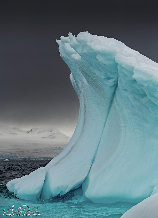 Iceberg II Photograph by Andrew Dickman