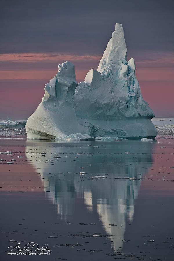 Iceberg III Photograph by Andrew Dickman