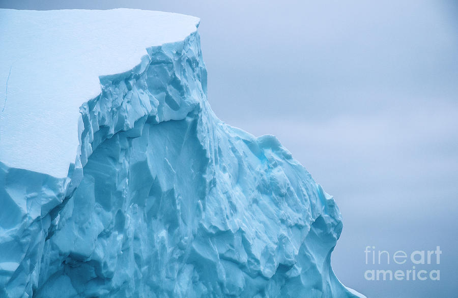 Iceberg in Antarctica Photograph by David Lichtneker