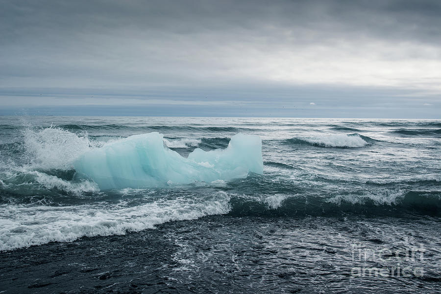 Iceberg on Jokulsarson Diamond beach, Iceland Photograph by Delphimages Photo Creations
