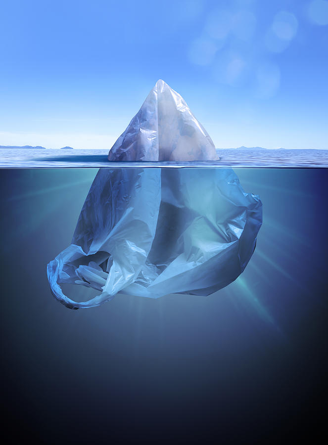 Iceberg or plastic bag Photograph by Pick-uppath